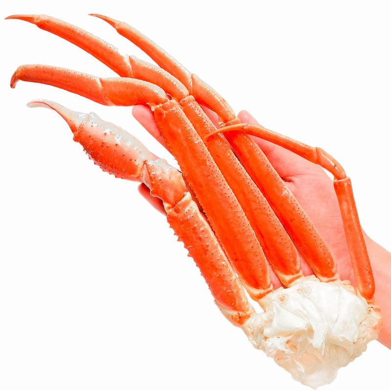 送料無料 ズワイガニ×1箱 3Lサイズ 2kg 本ズワイガニ 5肩前後 解凍するだけでOK ボイル冷凍ズワイガ二セクション【ズワイガニ ずわいがに かに カニ 蟹 ずわい蟹 豊洲 かに鍋 焼きガニ ギフト】