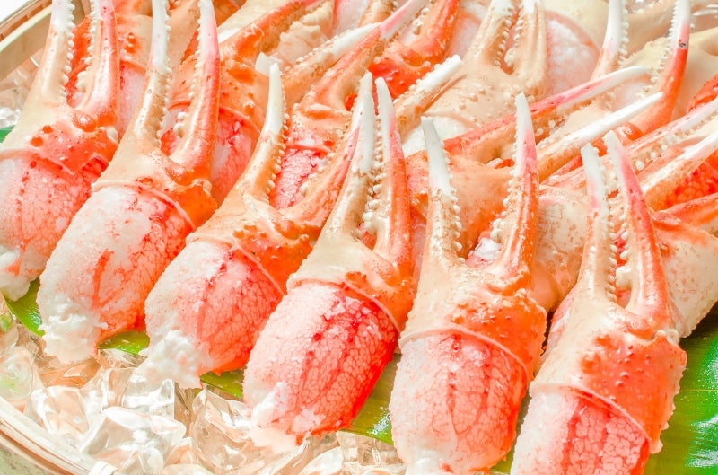 特大 4L カニ爪 かに爪 1kg ズワイガニ 21〜30個 正規品 満足度が違う!ジューシーな本ズワイガニのかにつめ【ボイル 冷凍 ズワイガニ ずわいがに カニ爪 かにつめ カニツメ カニつめ かに カニ 蟹 かに鍋 豊洲 ギフト】
