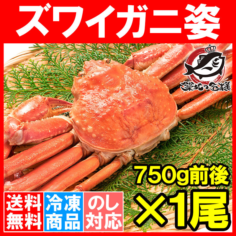 送料無料 ズワイガニ 750g前後×1尾 冷凍ゆでがに 本ズワイガニ 解凍するだけでOK!ボイル冷凍 ズワイ蟹【ずわいがに かに カニ 蟹 ずわい蟹 豊洲市場 かに鍋 焼きガニ ギフト】