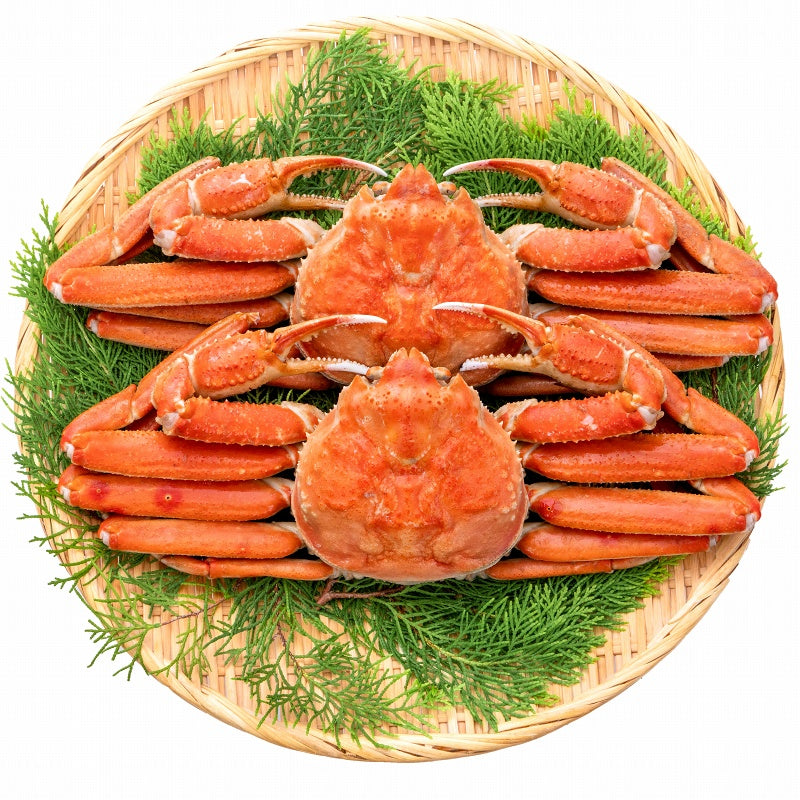 送料無料 ズワイガニ 750g前後×2尾 冷凍ゆでがに 本ズワイガニ 解凍するだけでOK!ボイル冷凍 ズワイ蟹【ずわいがに かに カニ 蟹 ずわい蟹 豊洲市場 かに鍋 焼きガニ ギフト】