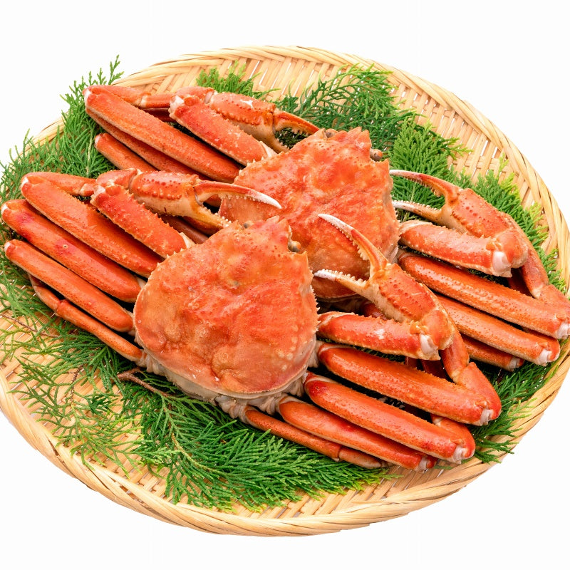 送料無料 ズワイガニ 750g前後×2尾 冷凍ゆでがに 本ズワイガニ 解凍するだけでOK!ボイル冷凍 ズワイ蟹【ずわいがに かに カニ 蟹 ずわい蟹 豊洲市場 かに鍋 焼きガニ ギフト】