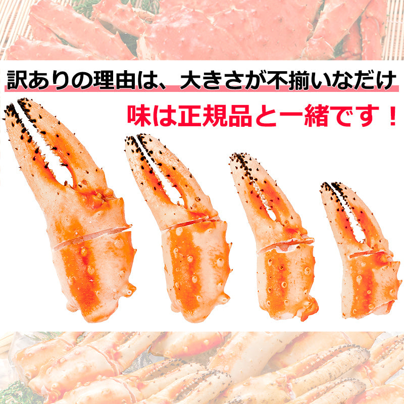 訳あり タラバガニ爪 たらばがに爪 2kg 500g×4パック かに爪 36～60個前後 形が不揃いなだけで超お得 わけあり 訳アリ タラバガニ たらばがに カニ爪 かに爪 かにつめ カニツメ カニつめ 蟹 タラバ たらば ボイル冷凍 豊洲市場 鍋 ギフト