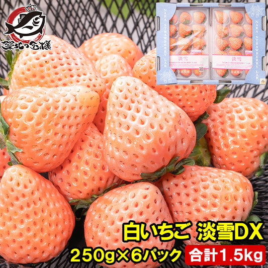 いちご 白いちご 淡雪 DX 等級 あわゆき 250g×6パック 合計1.5kg 1箱 2パック入り 白イチゴ イチゴ 苺 奈良県産 肥前 大粒 いちごの王様 フルーツ 果物 ギフト 贈答 お取り寄せ 産地直送 市場直送 クール便 豊洲市場 青果
