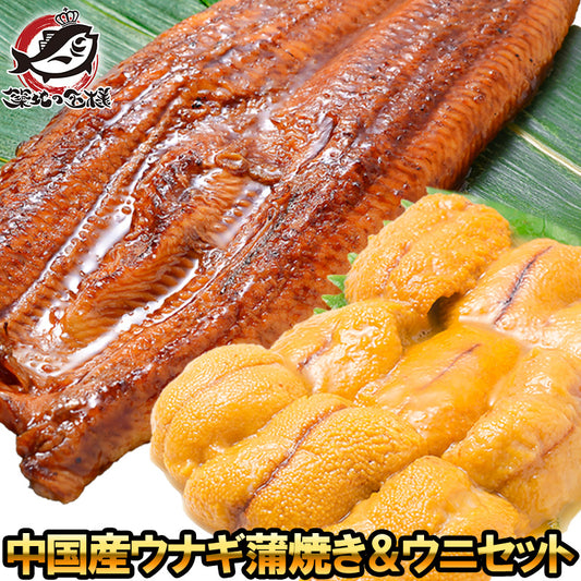 うにうなぎセット ＜梅＞ 超特大！うなぎ蒲焼き 平均330g前後×2尾 生ウニ 100g タレ付き 柔らかうなぎと生ウニの贅沢セット【うなぎ ウナギ 鰻 うな丼 うな重 ひつまぶし 土用の丑 ウニ うに ギフト 豊洲市場】