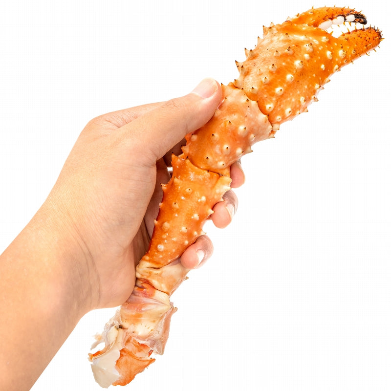 ゴールデンキングクラブ 2kg タラバガニにも負けない旨味 タラバガニ科 イバラガニ 5Lサイズ 冷凍総重量 1kg前後 ×2肩 正規品 ボイル冷凍 足 肩セクション かに カニ 蟹 シュリンク包装 豊洲市場 カニ鍋 焼きガニ ギフト 贈答用 お歳暮 単品おせち 海鮮おせち