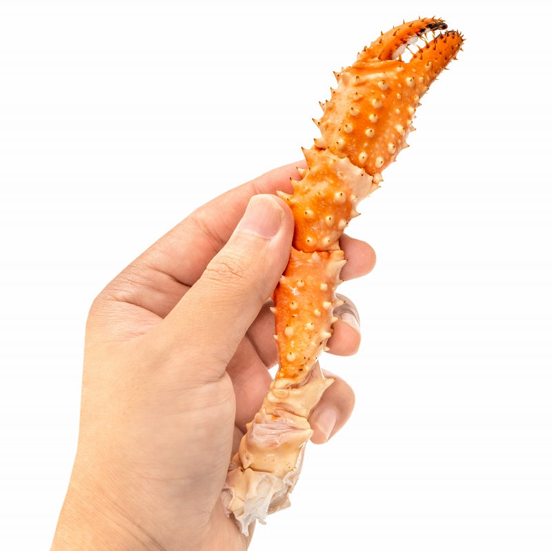ゴールデンキングクラブ 4箱 冷凍総重量 8.8kg 合計16～20肩 解凍後 7.2kg タラバガニにも負けない旨味 タラバガニ科 イバラガニ 正規品 ボイル冷凍 足 肩セクション かに カニ 蟹 豊洲市場 カニ鍋 焼きガニ かに脚 ギフト 贈答用 お歳暮 単品おせち 海鮮おせち