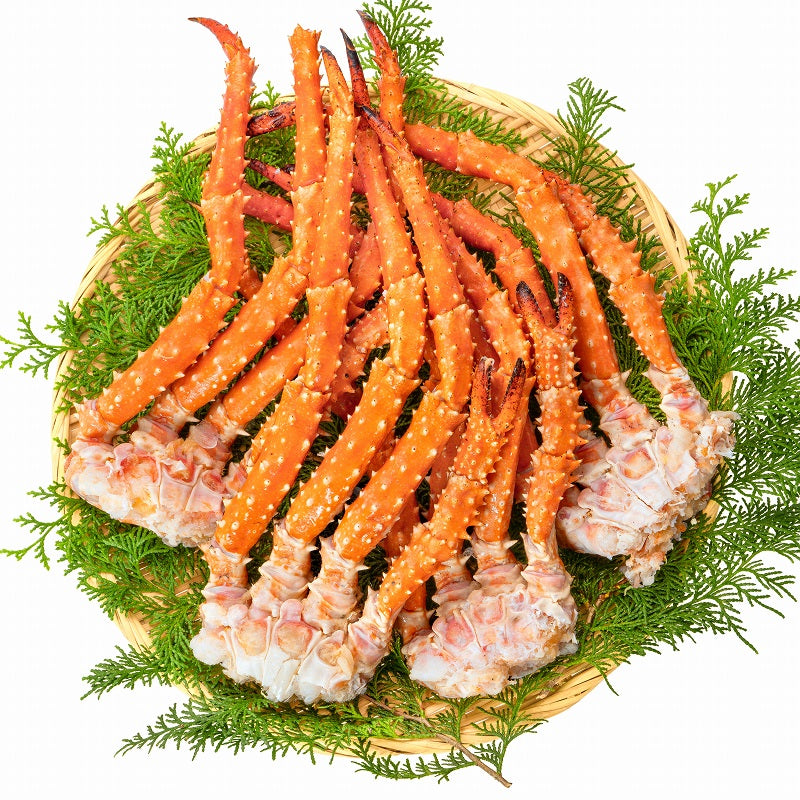 ゴールデンキングクラブ 4箱 冷凍総重量 8.8kg 合計16～20肩 解凍後 7.2kg タラバガニにも負けない旨味 タラバガニ科 イバラガニ 正規品 ボイル冷凍 足 肩セクション かに カニ 蟹 豊洲市場 カニ鍋 焼きガニ かに脚 ギフト 贈答用 お歳暮 単品おせち 海鮮おせち