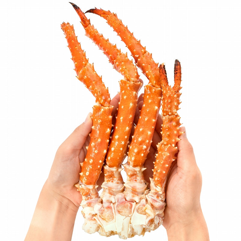 ゴールデンキングクラブ 4箱 冷凍総重量 8.8kg 合計16～20肩 解凍後 7.2kg タラバガニにも負けない旨味 タラバガニ科 イバラガニ 正規品 ボイル冷凍 足 肩セクション かに カニ 蟹 豊洲市場 カニ鍋 焼きガニ かに脚 ギフト 贈答用 お歳暮 単品おせち 海鮮おせち