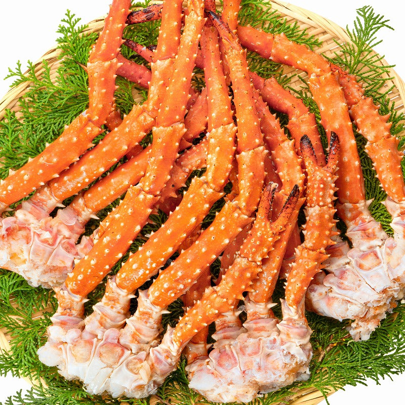 ゴールデンキングクラブ 3箱 冷凍総重量 6.6kg 合計12～15肩 解凍後 5.4kg タラバガニにも負けない旨味 タラバガニ科 イバラガニ 正規品 ボイル冷凍 足 肩セクション かに カニ 蟹 豊洲市場 カニ鍋 焼きガニ かに脚 ギフト 贈答用 お歳暮 単品おせち 海鮮おせち