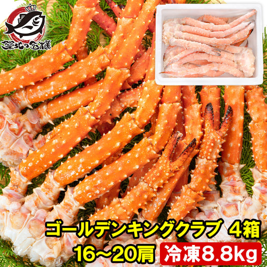 ゴールデンキングクラブ 4箱 冷凍総重量 8.8kg 合計16～20肩 解凍後 7.2kg タラバガニにも負けない旨味 タラバガニ科 イバラガニ 正規品 ボイル冷凍 足 肩セクション かに カニ 蟹 豊洲市場 カニ鍋 焼きガニ かに脚 ギフト 贈答用 お歳暮 単品おせち 海鮮おせち