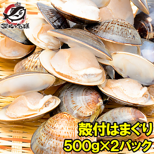 はまぐり ハマグリ 1kg 500g×2 ボイル 冷凍 鮮度が活きたはまぐりは旨い【潮汁 蛤 焼きハマグリ お吸い物 澄まし汁 酒蒸し バター焼き ひな祭り 貝 料理 おせち ギフト】