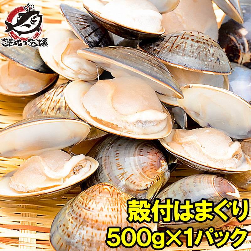 はまぐり ハマグリ 500g ボイル 冷凍 鮮度が活きたはまぐりは旨い【潮汁 蛤 焼きハマグリ お吸い物 澄まし汁 酒蒸し バター焼き ひな祭り 貝 料理 おせち ギフト】