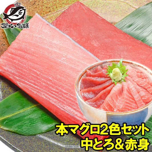 本マグロ 本まぐろ 中トロ200g&赤身200g セット 通が唸る本マグロの真髄赤身と人気1番中トロを極める 【本鮪 鮪 まぐろ マグロ クロマグロ 刺身 寿司 海鮮丼 冷凍 maguo ギフト】