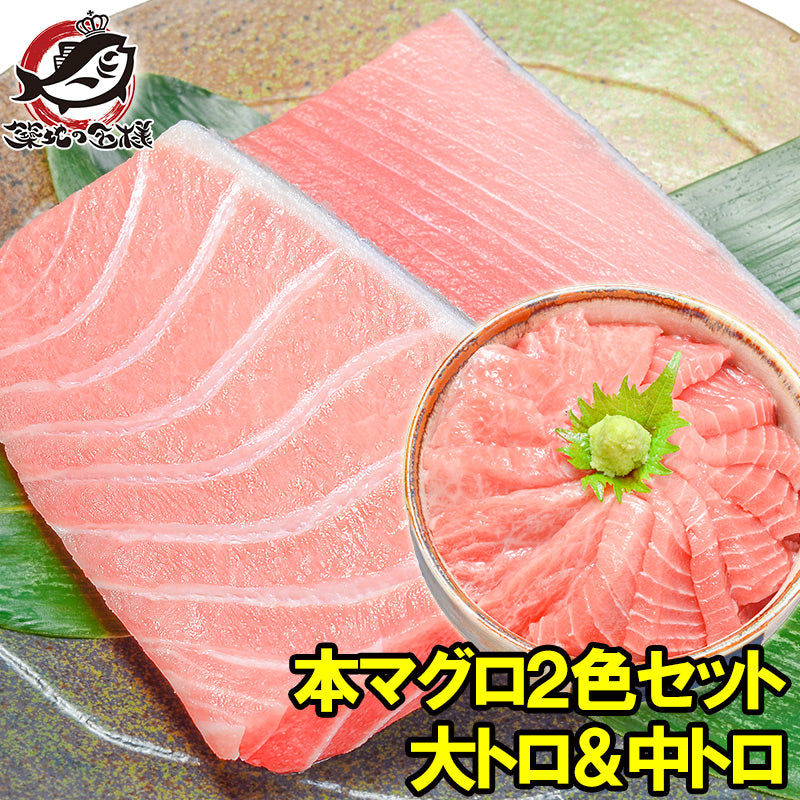 本まぐろ大トロ200g＆中トロ200gセット 通が唸る本マグロの真髄赤身と人気1番中トロを極める 【鮪 まぐろ マグロ 本まぐろ 刺身 クロマグロ ギフト】