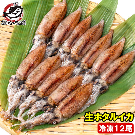 送料無料 高級グレード 生ホタルイカ ほたるいか 12尾 約120g お刺身ＯＫ！新物ほたるいか。富山産ほたるいかは大きくぷりぷりの食感！【いか イカ 蛍烏賊 刺身 烏賊 豊洲市場 ギフト】