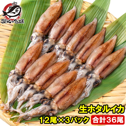 送料無料 高級グレード 生ホタルイカ ほたるいか 合計36尾 12尾(約120g)×3パック お刺身ＯＫ！新物ほたるいか。富山産ほたるいかは大きくぷりぷりの食感！【いか イカ 蛍烏賊 刺身 烏賊 豊洲市場 ギフト】