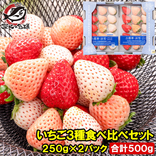 いちご3種食べ比べセット 250g×2パック 合計500g 1箱 2パック入り 古都華 淡雪 パールホワイト アソート いちご イチゴ 苺 化粧箱入り  大粒 フルーツ 果物 ギフト 贈答 お取り寄せ 市場直送 クール便 豊洲市場 青果