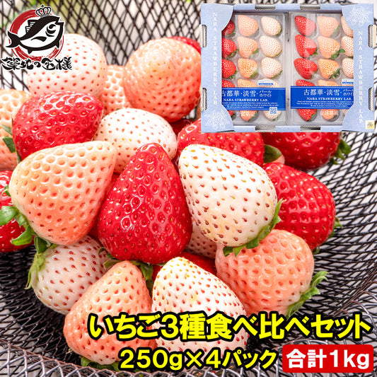 いちご3種食べ比べセット 250g×4パック 合計1kg 1箱 2パック入り 古都華 淡雪 パールホワイト アソート いちご イチゴ 苺 化粧箱入り  大粒 フルーツ 果物 ギフト 贈答 お取り寄せ 市場直送 クール便 豊洲市場 青果