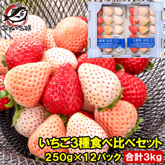 いちご3種食べ比べセット 250g×12パック 合計3kg 1箱 2パック入り 古都華 淡雪 パールホワイト アソート いちご イチゴ 苺 化粧箱入り  大粒 フルーツ 果物 ギフト 贈答 お取り寄せ 市場直送 クール便 豊洲市場 青果