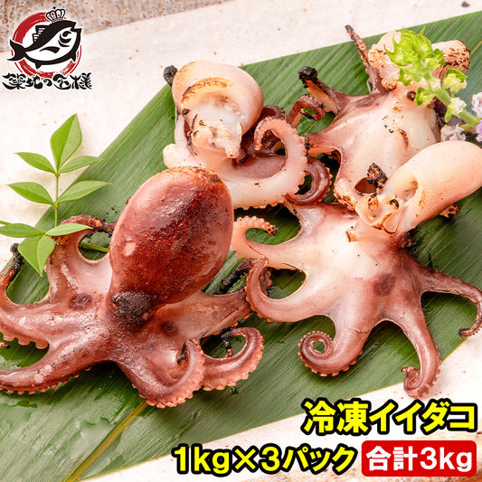 イイダコ いいだこ 業務用 3kg 1kg×3 タコ たこ 蛸 飯蛸 冷凍 バラ凍結 チュクミ ポックム 韓国料理  鍋 おでん 飯蛸 たこ飯 下処理済みご飯のお供 おかず 築地市場 豊洲市場