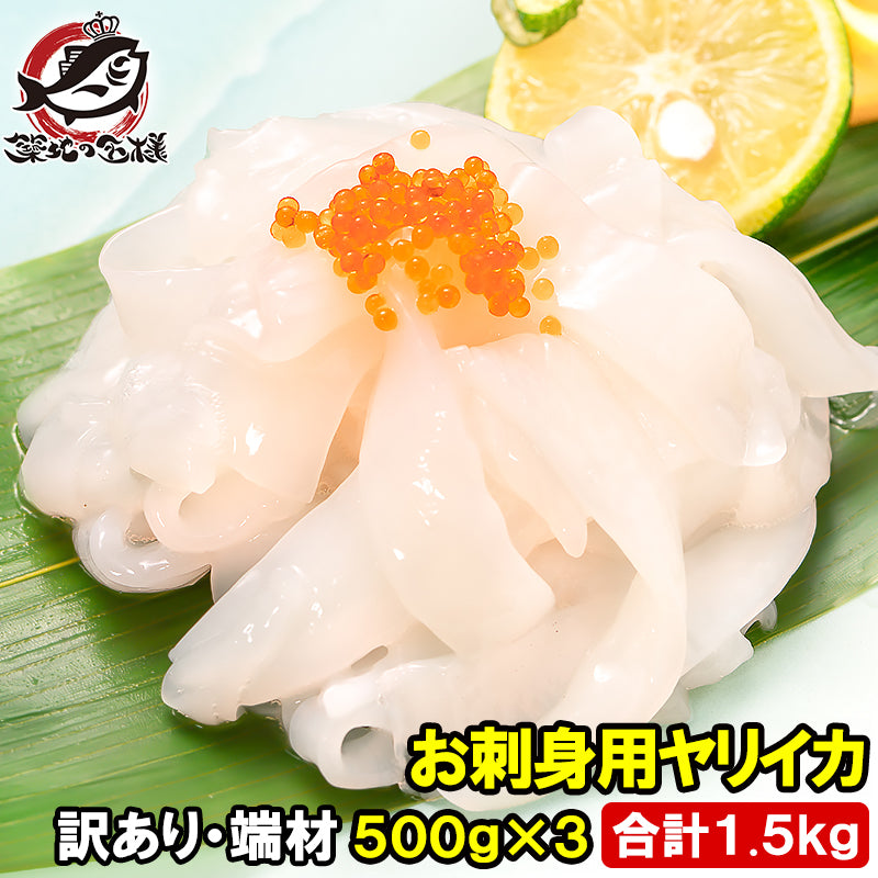 訳あり イカソーメン お刺身用 ヤリイカ 切り落とし 500g×3パック 合計1.5kg 端材 いかソーメン イカそうめん 素麺 やりいか いか イカ 烏賊 いか刺し イカ刺し 業務用 豊洲市場 ギフト