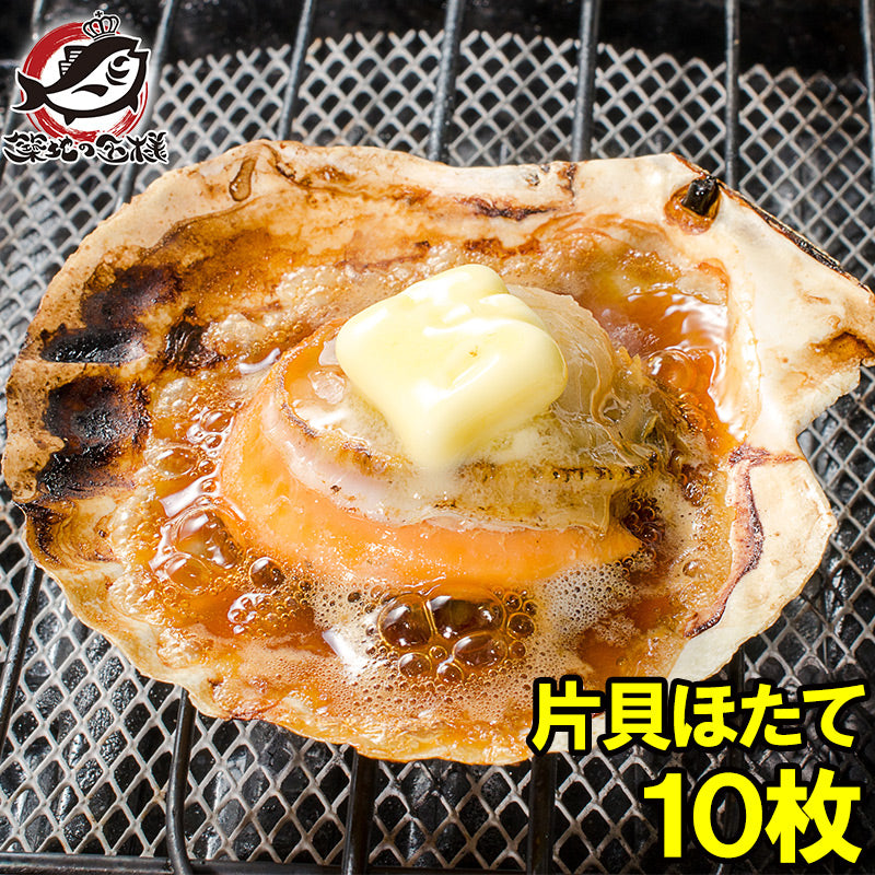 送料無料 ホタテ ほたて 特大 片貝ほたて 10枚入り 10〜11ｃｍの特大サイズ！北海道産のほたて貝【殻付きほたて 帆立 貝 バター焼き 浜焼き バーベキュー BBQ 業務用 豊洲市場 ギフト】