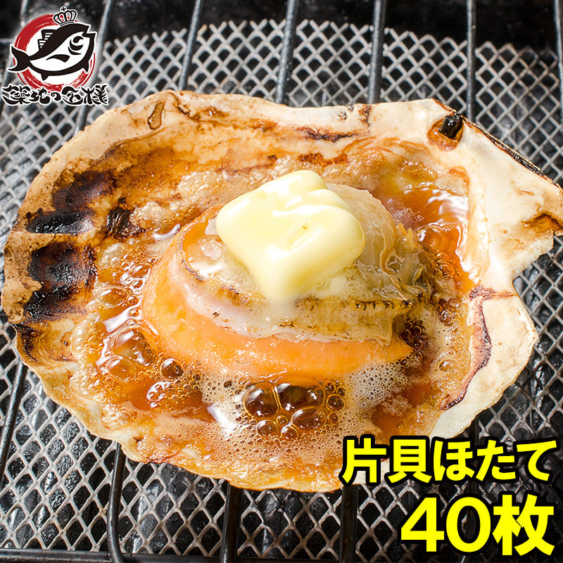 送料無料 ホタテ ほたて 特大 片貝ほたて 40枚 10枚×4袋 10〜11ｃｍの特大サイズ！北海道産のほたて貝【殻付きほたて 帆立 貝 バター焼き 浜焼き バーベキュー BBQ 業務用 豊洲市場 ギフト】