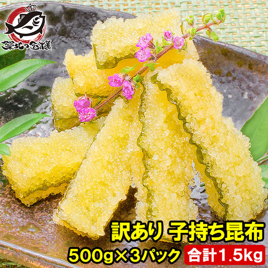 訳あり 子持ち昆布 切り落とし 味付け両面子持ち昆布 500g×3パック 合計1.5kg 上品な白醤油味でさっぱりとした高級感。塩抜き不要！【子持昆布 天然子持ち昆布 数の子 こんぶ 串揚げ フライ 珍味 おせち料理 寿司ネタ ギフト】