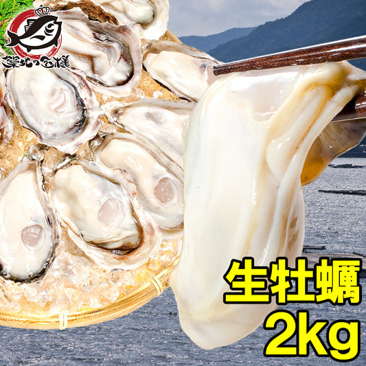 送料無料 生牡蠣 2kg 生食用カキ 冷凍時1kg 解凍後850g×2 冷凍むき身牡蠣 生食用 新製法で冷凍なのに生食可能な牡蠣で濃厚な風味【冷凍 生ガキ かき カキ 牡蛎 バーベキュー 牡蠣鍋 カキフライ 牡蠣フライ ギフト】