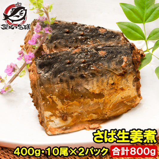 さば 生姜煮 合計800g 400g×2パック 常温保存 温めるだけで便利 サバ 鯖 さば生姜煮 煮魚 煮付け 生姜 ご飯のお供 お弁当 おかず 惣菜 DHA 豊洲市場 常温商品