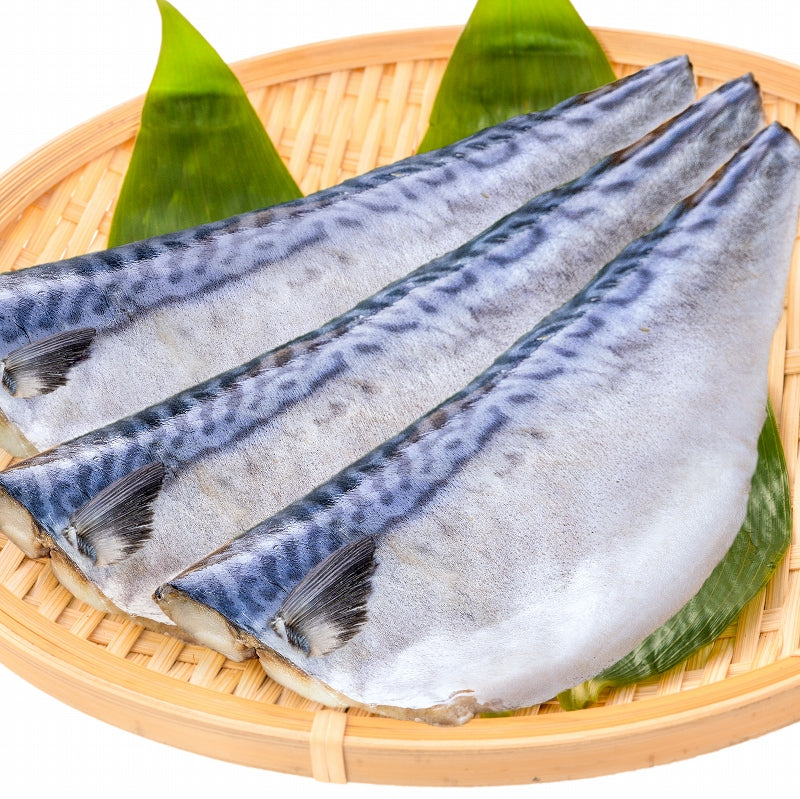 塩さば 塩サバ 骨抜き 骨なし 骨無し 3枚入り×3パック 990g前後 大サイズ 正規品 塩熟サバ鯖 国産 無添加 半身 骨取り フィレ 塩鯖 鯖 焼き魚 焼きサバ 塩焼き 酒の肴 おかず 冷凍 業務用 加熱用 豊洲市場 ギフト