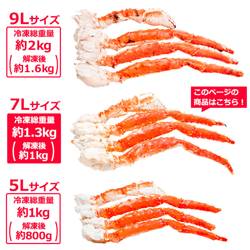 タラバガニ たらばがに 超極太7Ｌサイズ 6.5kg前後 冷凍総重量1.3kg×5肩セット 正規品 ボイル冷凍 足 肩セクション シュリンク包装 【かに カニ 蟹 たらば蟹 タラバ蟹 豊洲 カニ鍋 焼きガニ 脚 ギフト】