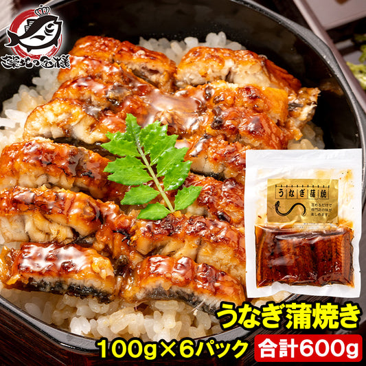 送料無料 うなぎ蒲焼き 100g ×6パック 合計600g うなぎ 鰻 ウナギ 土用の丑 うな丼 うな重 ひつまぶし カット済み 個包装 食べきりサイズ ギフト 豊洲市場