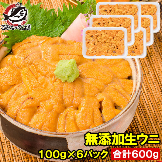 うに 冷凍生うに 無添加 100g×6パック 最高級Ａグレード。うに丼約12杯分のお試しサイズ【ウニ ウニ丼 刺身 うにパスタ うにスパゲッティ うに軍艦 いちご煮 海鮮丼 手巻き寿司 寿司ねた 豊洲市場 ギフト】