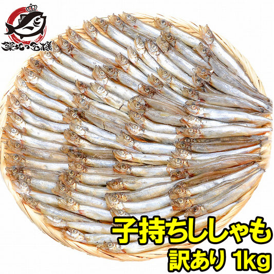 送料無料 訳あり ししゃも 子持ちシシャモ 業務用1kg 【樺太シシャモ カラフトシシャモ カペリン 柳葉魚 ノルウェー産 中国加工 ししゃもフライ 唐揚げ 訳アリ わけあり ワケアリ ギフトr