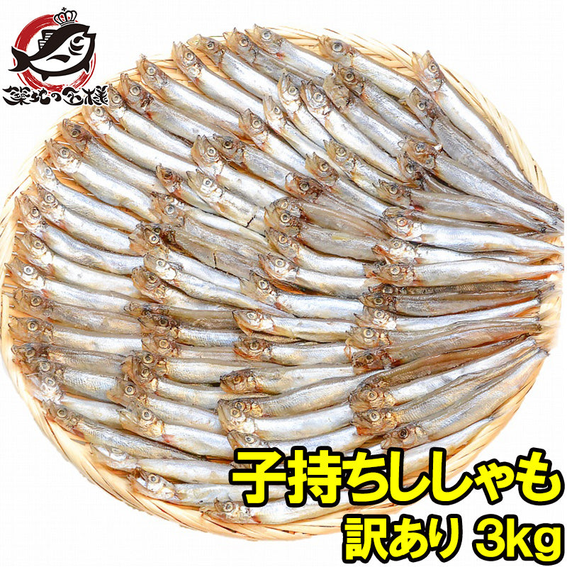 送料無料 訳あり ししゃも 3kg 1kg×3袋 業務用子持ちシシャモ 【樺太シシャモ カラフトシシャモ カペリン 柳葉魚 ノルウェー産 中国加工 ししゃもフライ 唐揚げ 訳アリ わけあり ワケアリ ギフト】r