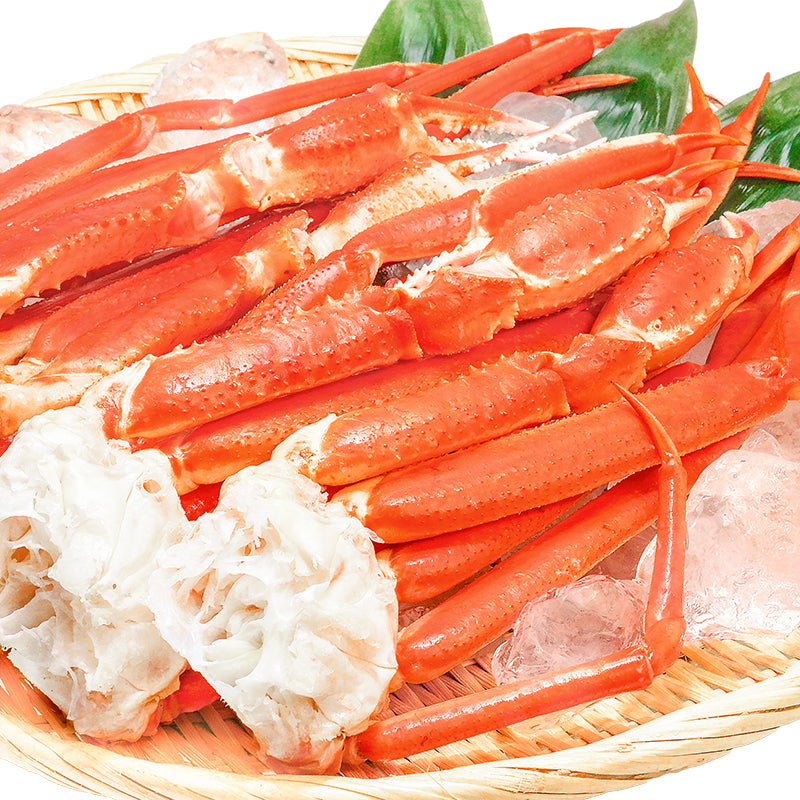 送料無料 ズワイガニ×3箱 3Lサイズ 6kg 本ズワイガニ 15肩前後 解凍するだけでＯＫ ボイル冷凍ズワイガ二セクション【ズワイガニ ずわいがに かに カニ 蟹 ずわい蟹 豊洲 かに鍋 焼きガニ ギフト】