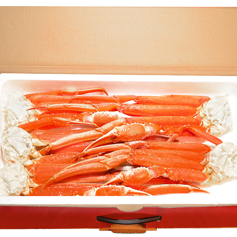 送料無料 ズワイガニ×3箱 3Lサイズ 6kg 本ズワイガニ 15肩前後 解凍するだけでＯＫ ボイル冷凍ズワイガ二セクション【ズワイガニ ずわいがに かに カニ 蟹 ずわい蟹 豊洲 かに鍋 焼きガニ ギフト】