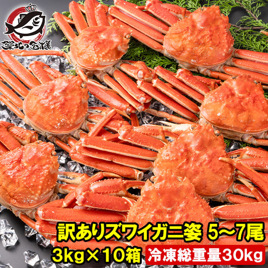 訳あり ズワイガニ 姿 合計30kg前後 50～70尾 3kg×10箱 冷凍ゆでがに 本ズワイガニ ボイル冷凍 ズワイ蟹 ずわいがに かに カニ 蟹 ずわい蟹 豊洲市場 かに鍋 焼きガニ おせち 単品おせち 年末 正月 ギフト