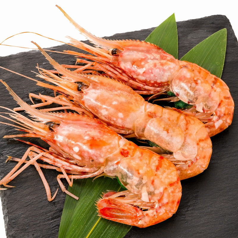 送料無料 ぼたん海老 業務用 500g お刺身用 ボタン海老 希少な特大Lサイズ。大きくトロけるボタン海老は甘みが違う。 箱入りで豪華ギフトにも最適【ぼたんえび ぼたんエビ ボタンエビ ボタンえび バーベキュー 築地市場 豊洲市場 ギフト】