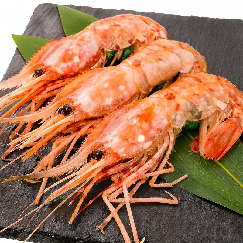 送料無料 ぼたん海老 業務用 500g お刺身用 ボタン海老 希少な特大Lサイズ。大きくトロけるボタン海老は甘みが違う。 箱入りで豪華ギフトにも最適【ぼたんえび ぼたんエビ ボタンエビ ボタンえび バーベキュー 築地市場 豊洲市場 ギフト】