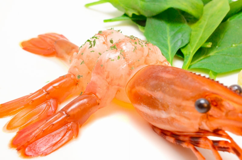 送料無料 ぼたん海老 業務用 500g お刺身用 ボタン海老 希少な特大Lサイズ。大きくトロけるボタン海老は甘みが違う。 箱入りで豪華ギフトにも最適【ぼたんえび ぼたんエビ ボタンエビ ボタンえび バーベキュー 築地市場 豊洲市場 ギフト】