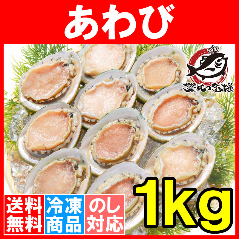 送料無料 あわび Lサイズ 1kg 1箱12個入り 殻つきお刺身用アワビ 高級料亭でも使用する新鮮な殻付きあわび 【あわび アワビ 鮑 お造り バター焼き ステーキ おせち 翡翠の瞳 貝柱 豊洲 寿司 海鮮 ギフト】r