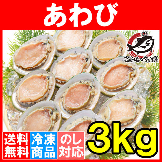 送料無料 あわび Lサイズ 3kg 合計36個 1箱12個入り 殻つきお刺身用アワビ 高級料亭でも使用する新鮮な殻付きあわび 【あわび アワビ 鮑 お造り バター焼き ステーキ おせち 翡翠の瞳 貝柱 豊洲 寿司 ギフト】