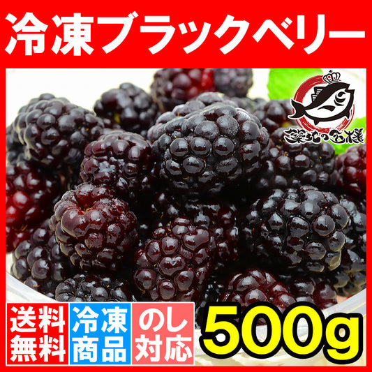 冷凍ブラックベリー 500g×1パック 爽やかな酸味のブラックベリーをたっぷりと！【ブラックベリー 冷凍ブラックベリー 完熟ブラックベリー 冷凍フルーツ 冷凍デザート 冷凍食品 業務用 ヨナナス スムージー】