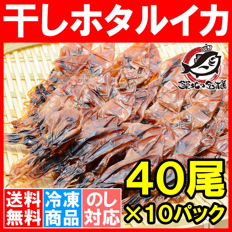 送料無料 ホタルイカ 素干し 干しほたるいか40尾×10パック シーズン最盛期の富山産ほたるいか干物は大きくて旨みが凝縮 【ほたるいか ほたるイカ 蛍烏賊 イカ一夜干し イカ燻製 新物 ギフト】