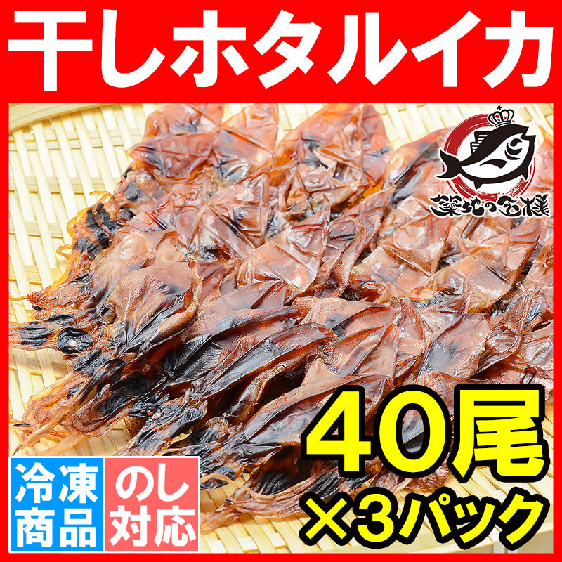 送料無料 ホタルイカ 素干し 干しほたるいか40尾×3パック シーズン最盛期の富山産ほたるいか干物は大きくて旨みが凝縮 【ほたるいか ほたるイカ 蛍烏賊 イカ一夜干し イカ燻製 新物 ギフト】