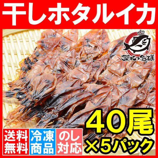 送料無料 ホタルイカ 素干し 干しほたるいか40尾×5パック シーズン最盛期の富山産ほたるいか干物は大きくて旨みが凝縮 【ほたるいか ほたるイカ 蛍烏賊 イカ一夜干し イカ燻製 新物 ギフト】