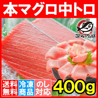 本マグロ 本まぐろ 中トロ 400g 正規品 トロける美味いしさで人気ダントツ1番の中トロ 【本鮪 鮪 まぐろ マグロ クロマグロ 刺身 寿司 海鮮丼 冷凍 maguo ギフト】