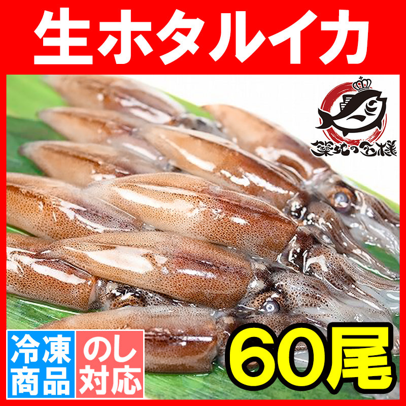 送料無料 生ホタルイカ ほたるいか 60尾 約150g×3パック お刺身ＯＫ！新物ほたるいか。シーズン最盛期！富山産ほたるいかは大きくぷりぷりの食感！【いか イカ ほたるイカ ほたるいか 蛍烏賊 刺身 烏賊 豊洲市場 豊洲市場 ギフト】